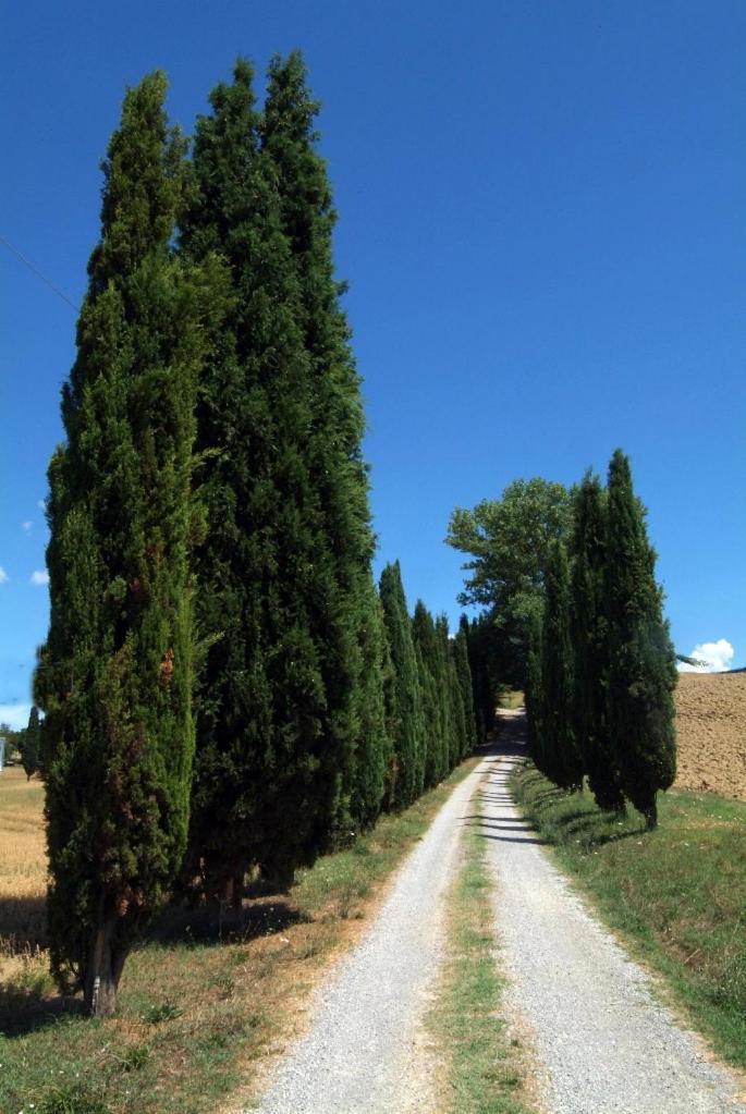 Villa Il Giardinello Montalcino Zewnętrze zdjęcie